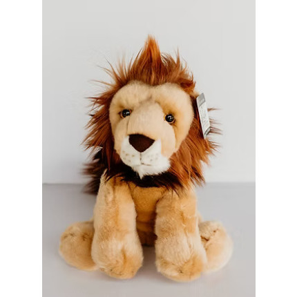 Colin the Lion