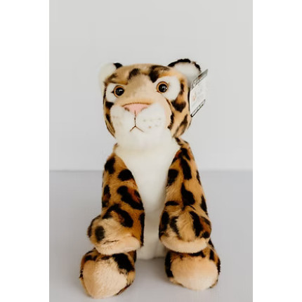 Martin the Leopard proudly sponsored by Aventure Chasse Pêche